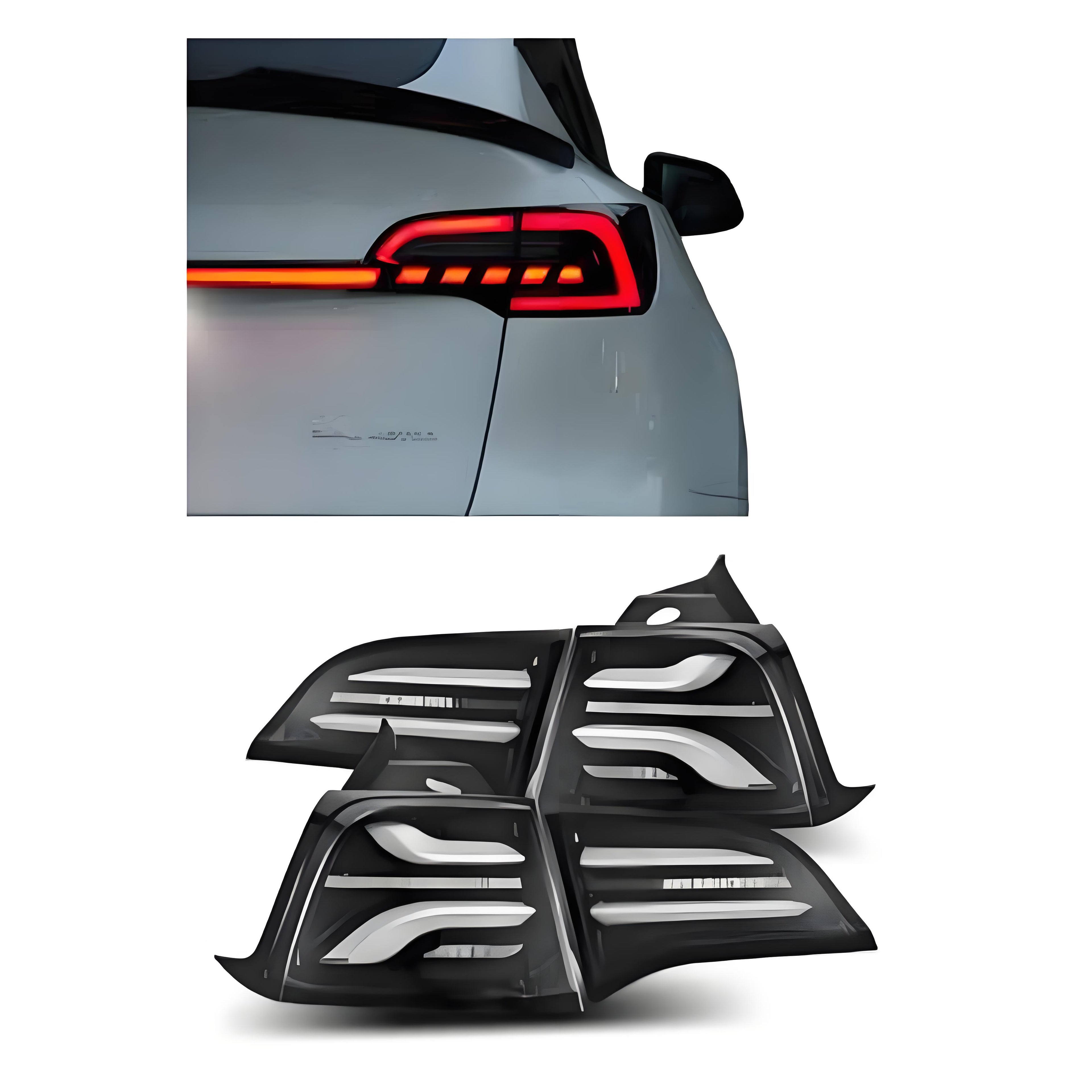 Model Y Taillights
